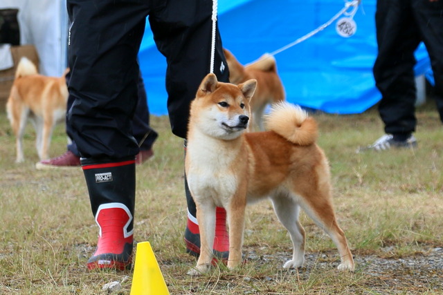 img2017-11-19-10