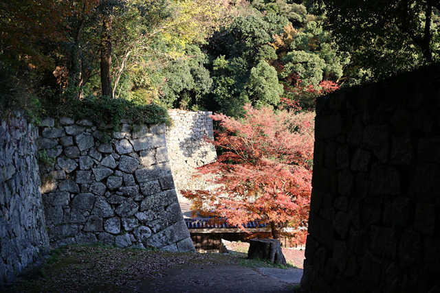 紅葉