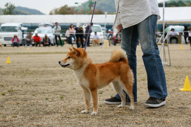 img2019-4-21-09
