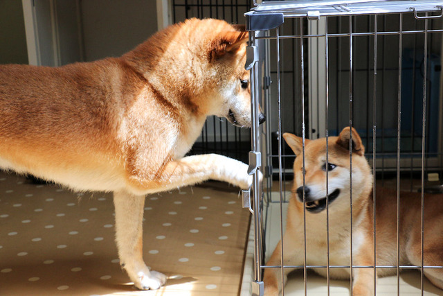 2015年6月10日