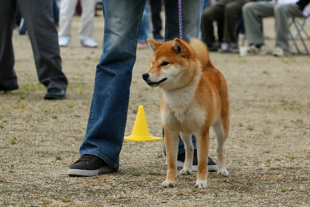 img2019-4-21-11