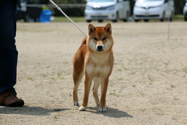 img2019-4-21-30