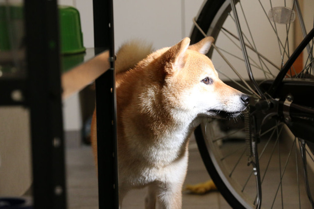 つ