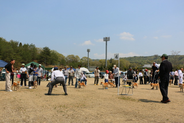 img2019-4-21-36