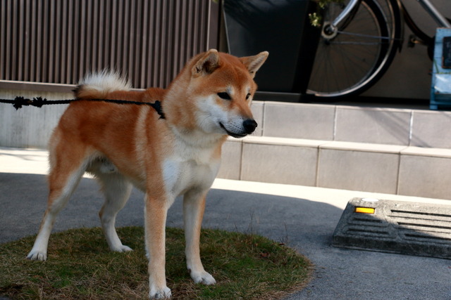 img2017-12-9-14
