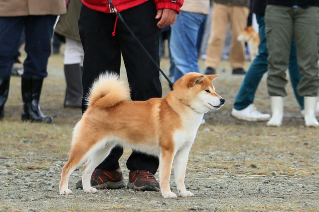 img2017-11-19-14