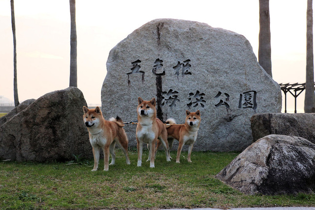 五色姫海浜公園