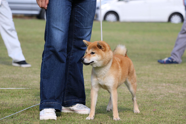つくし1審