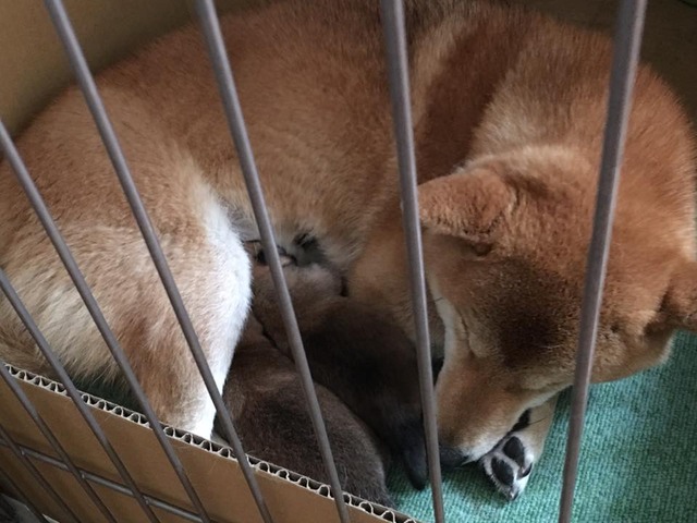 大事…ね♪