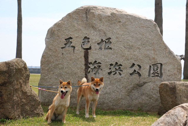 五色姫海浜公園