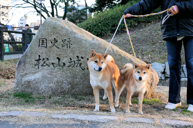 お堀を散歩