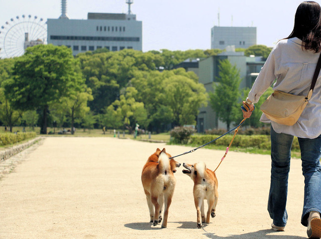 2015年5月20日昼