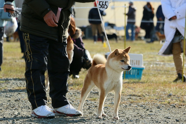 img2017-11-19-05