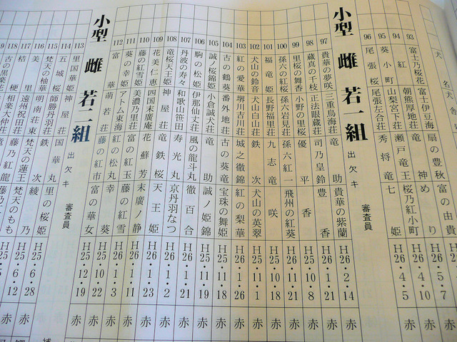 今日のライバルたち、雌若一組は16頭