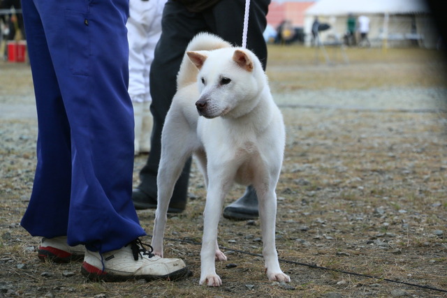 img2017-11-19-012