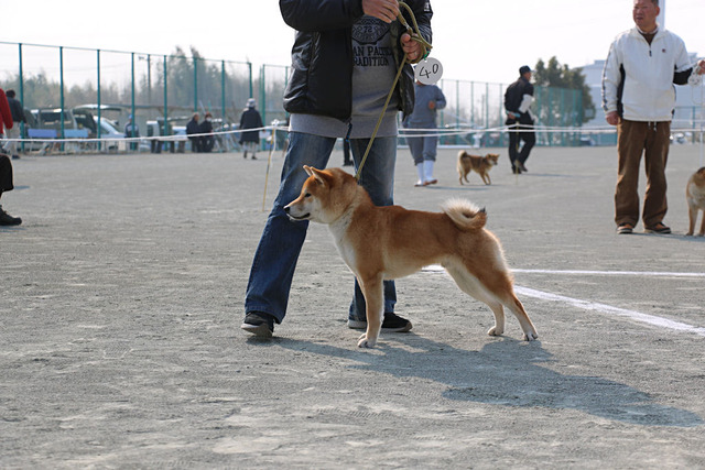 img2017-3-19-09