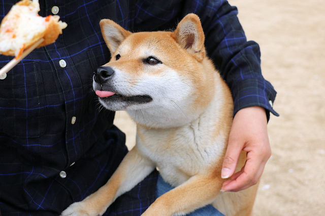 食べるでし!
