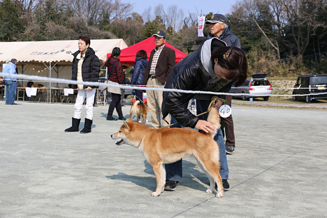 img2017-3-19-07