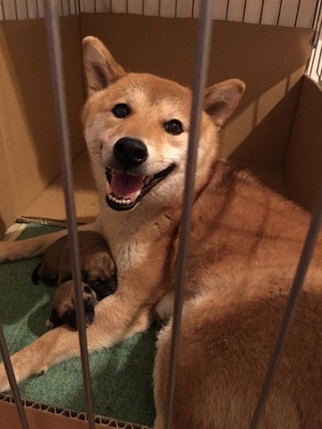 頑張ったね!