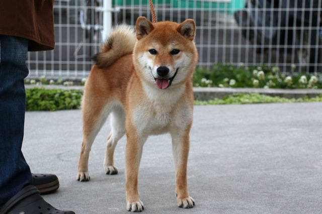 2015年5月19日夕方