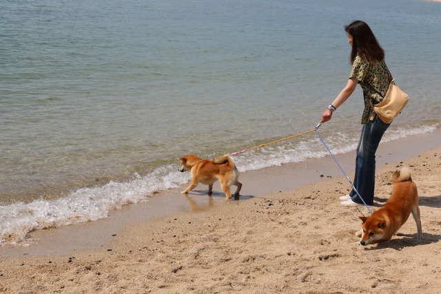 五色姫海浜公園