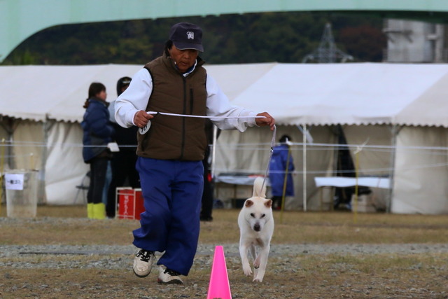 img2017-11-19-007