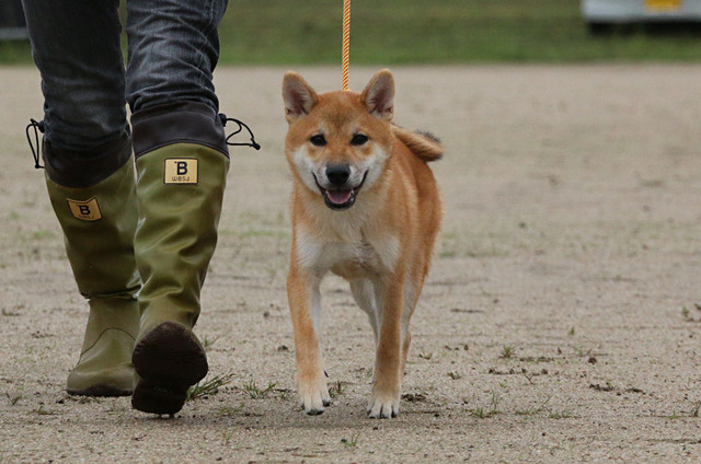 あっ!おとーさん♪
