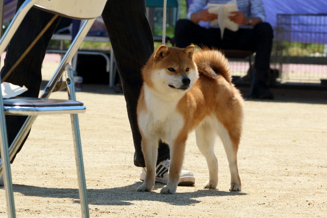 img2018-4-29-21