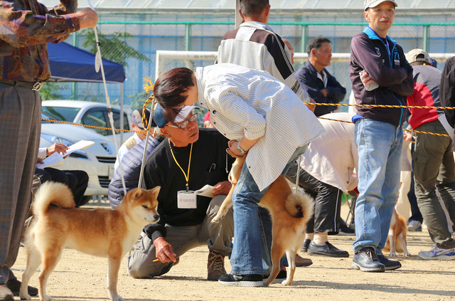 花美仁恵号