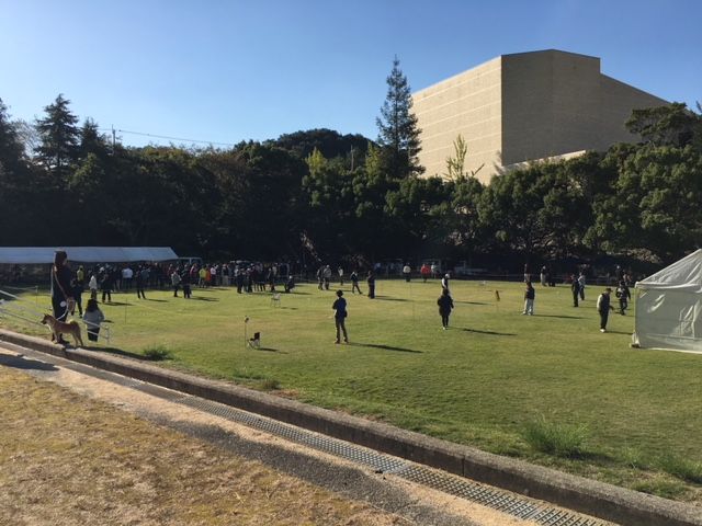 img2018-10-28-84