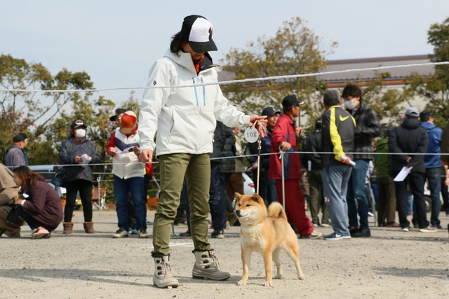 img2019-2-24-29