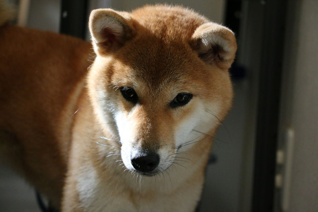 つくし合宿前