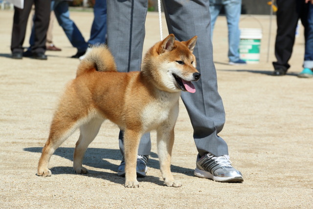 img2018-4-29-11