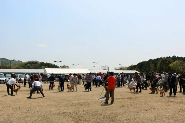 img2019-4-21-39