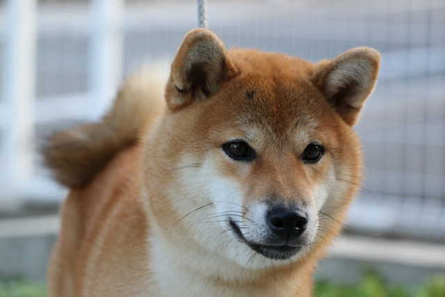 つくし合宿前