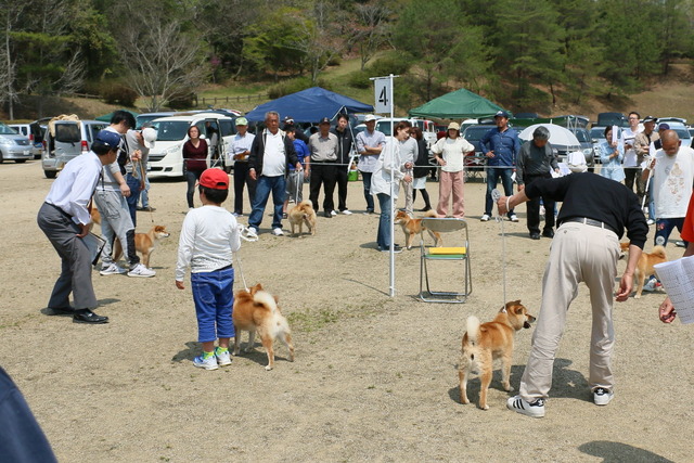 img2019-4-21-34
