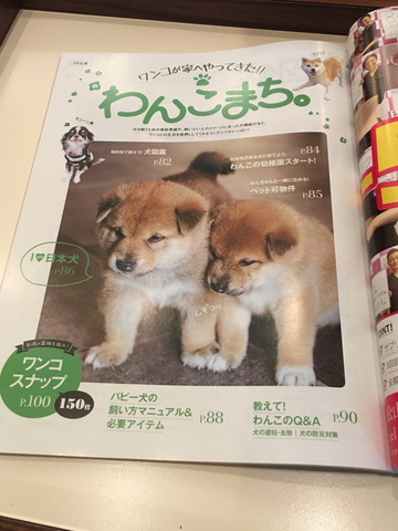 img2018-9-20-01