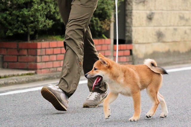ウキウキ♪