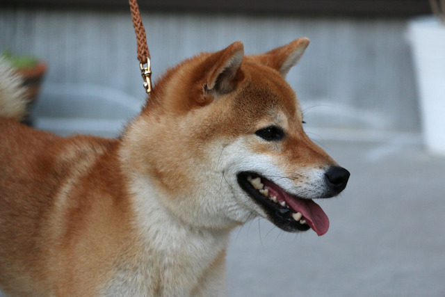 2015年5月19日夕方