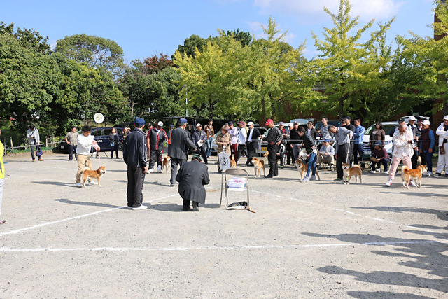 img2016-11-3-020