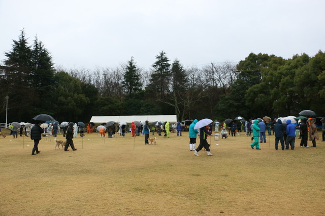img2019-3-10-05