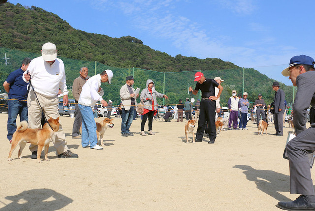 壮犬雄二審