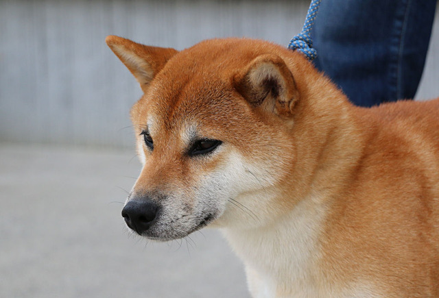 ♥