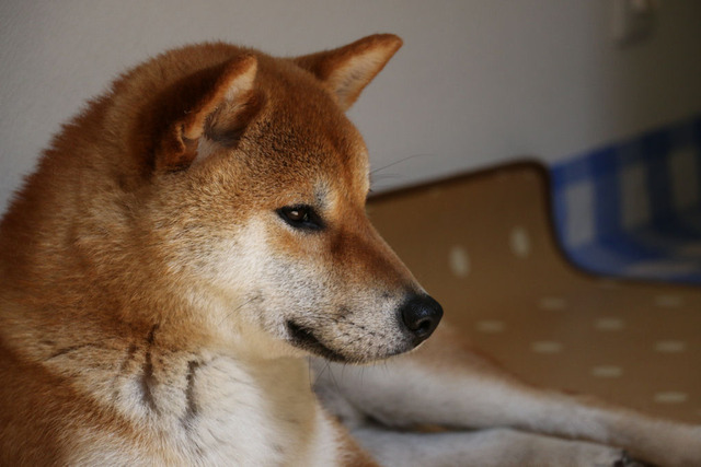 2015年6月10日