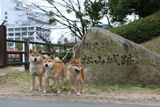 img2019-1-9-23