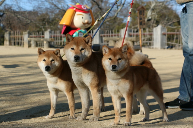 img2019-1-27-29