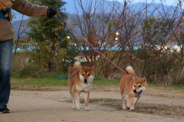 img20147-12-13-05