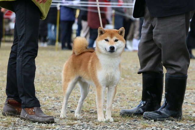 img2017-11-19-06