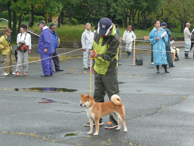 A(エース)こと赤根の龍源号の1審