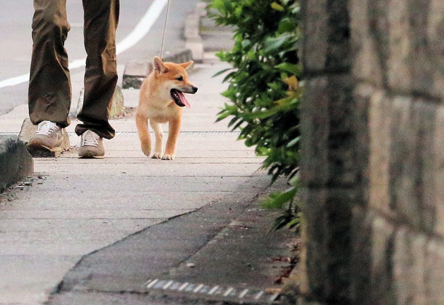 フン~フン~♬
